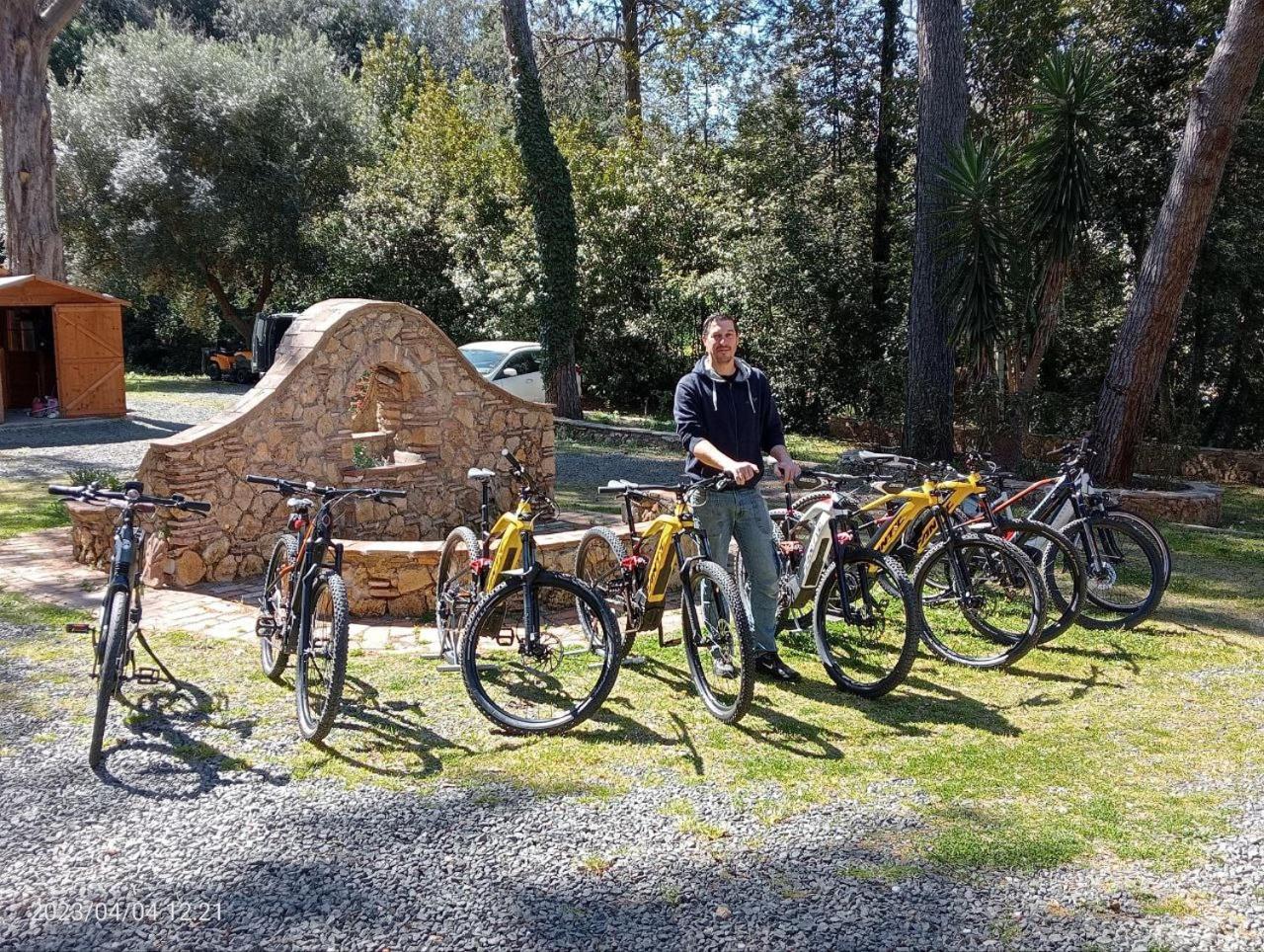 Podere San Filippo B&B-Apartment-Pet Friendly-Rent Bike And Bike Friendly Bibbona Exterior foto